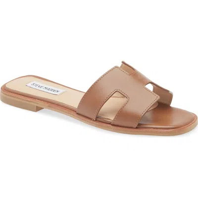 Steve Madden Hadyn Slide Sandal In Brown