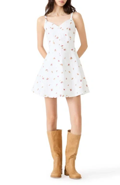 Steve Madden Harley Floral Fit & Flare Minidress In White
