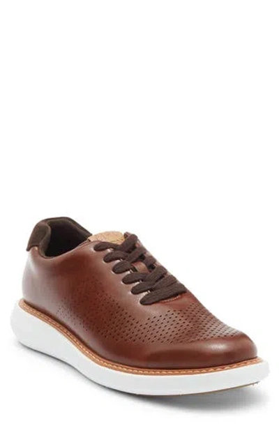 Steve Madden Hazzer Sneaker In Brown