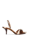 Steve Madden Henrietta-h Sandal