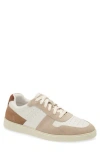 Steve Madden Herro Low Top Sneaker In Multi