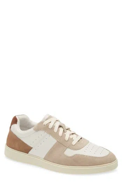 Steve Madden Herro Low Top Sneaker In Multi