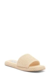 Steve Madden Cataleya Block Heel Sandal In Raffia