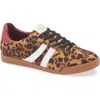 Steve Madden Hudsin Sneaker In Leopard Multi