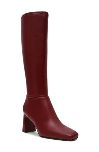 Steve Madden Hunny Knee High Boot In Burgundy