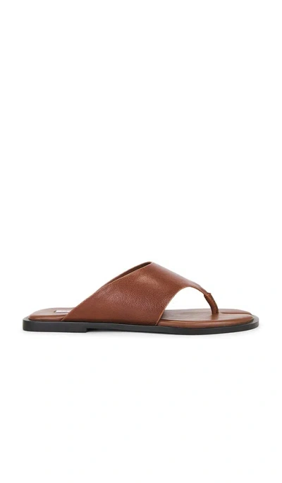 Steve Madden Illia Sandal In Brown