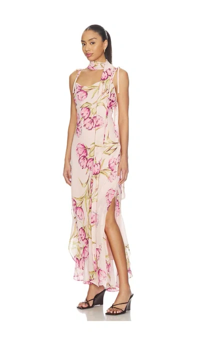 Steve Madden Jaila Dress In Pink