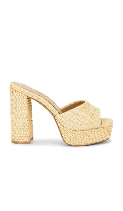 Steve Madden Joel Sandal In Neutral