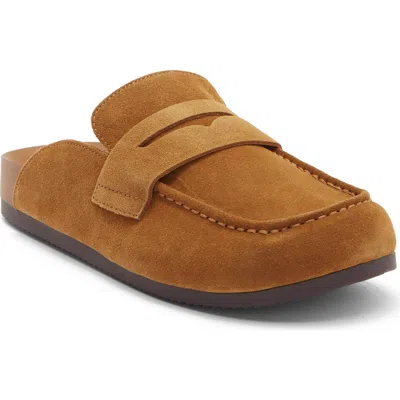 Steve Madden Jorgie Mule In Brown