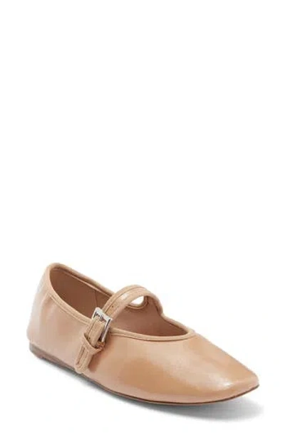 Steve Madden Judee Square Toe Mary Jane In Brown
