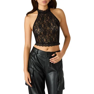 Steve Madden Judy Lace Crop Halter Top In Black