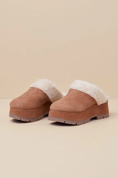 Steve Madden Juney Chestnut Suede Leather Platform Mule Slides In Brown