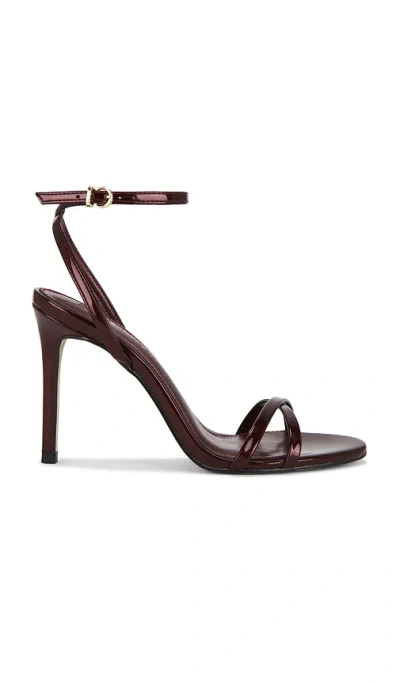 Steve Madden Jypsey Sandal In Brown