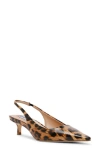 Steve Madden Kari Pointed Toe Kitten Heel Slingback Pump In Leopard