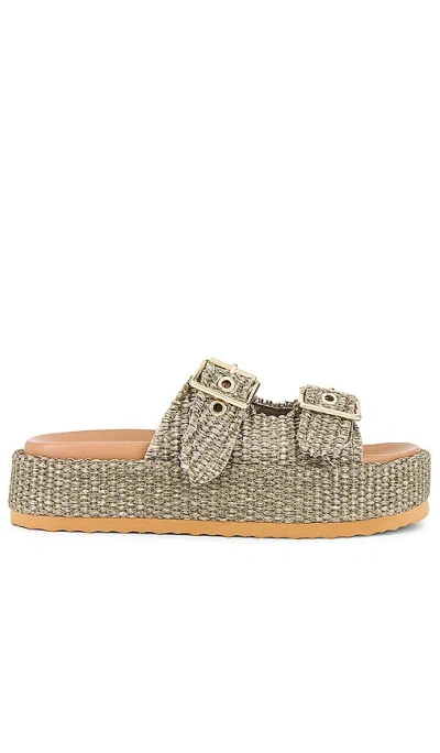 Steve Madden Karrigan Sandal In Olive