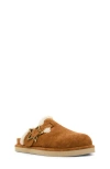 Steve Madden Kids' Jshilo Mule In Brown