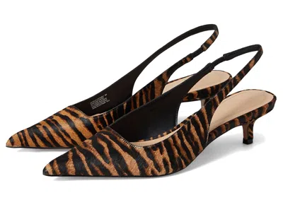 Steve Madden Kittie In Multi