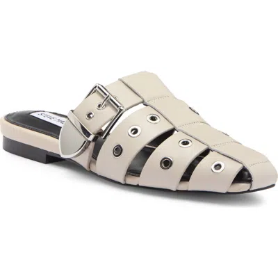 Steve Madden Ladera Mule In Bone Leather