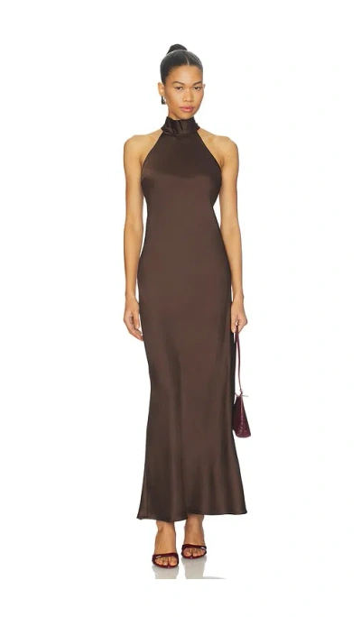 Steve Madden Lara Dress In Brown