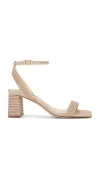 Steve Madden Lavnish In 金色