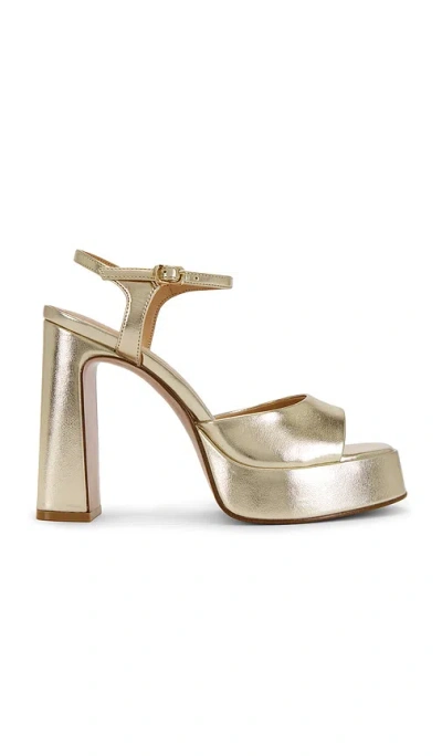 Steve Madden Liandra Platform Sandal In Gold