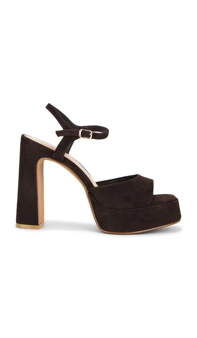 Steve Madden Liandra Sandal In Brown