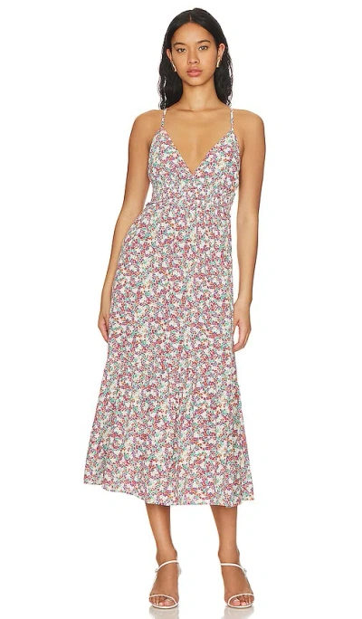 Steve Madden Lisa Dress In Multi