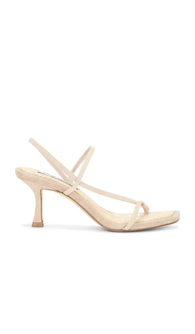 Steve Madden Locke Sandal In Tan