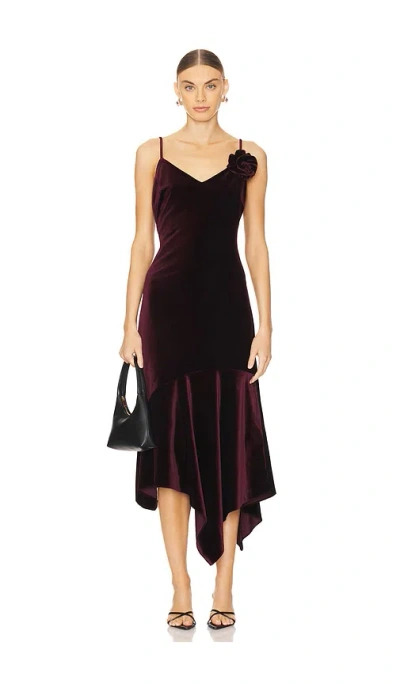 Steve Madden Lucille Dress In Wine