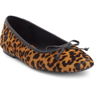 Steve Madden Malinda Genuine Cow Hair Ballet Flat In Brown