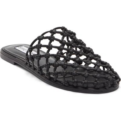Steve Madden Maverik Mule In Black