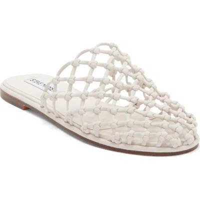 Steve Madden Maverik Mule In White
