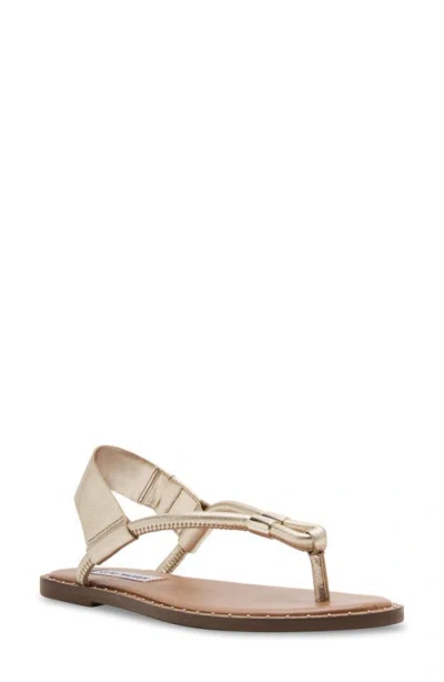 Steve Madden Meduza Sandal In Gold Leather