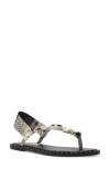 Shop Steve Madden Meduza Sandal In Snake