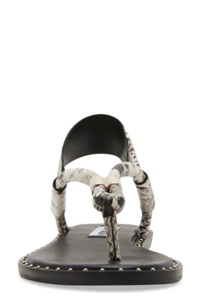 Steve Madden Meduza Sandal In Snake
