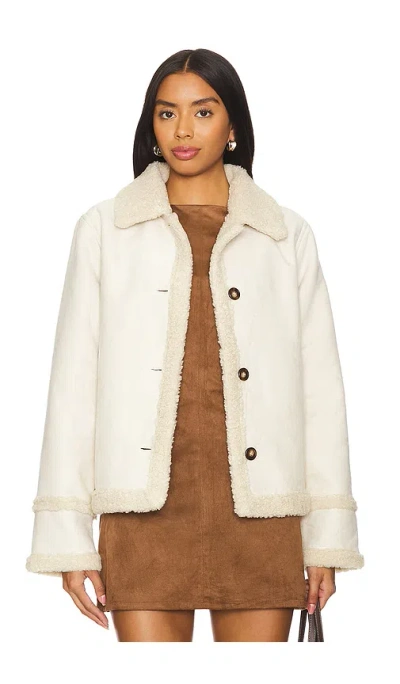Steve Madden Miel Jacket In 桦树皮白