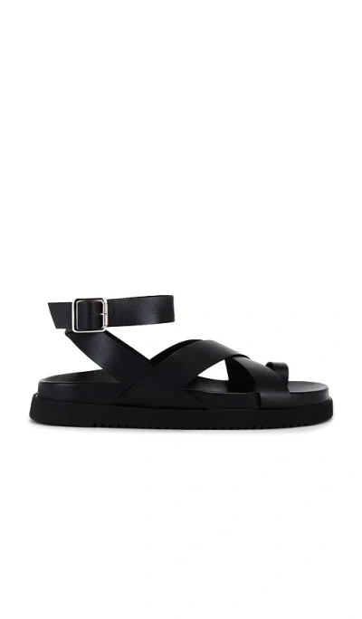 Steve Madden Mira Sandals In Black