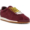 Steve Madden Mirage Sneaker In Burgundy