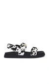 Steve Madden Mona Genuine Calf Hair Sandal In Black,white