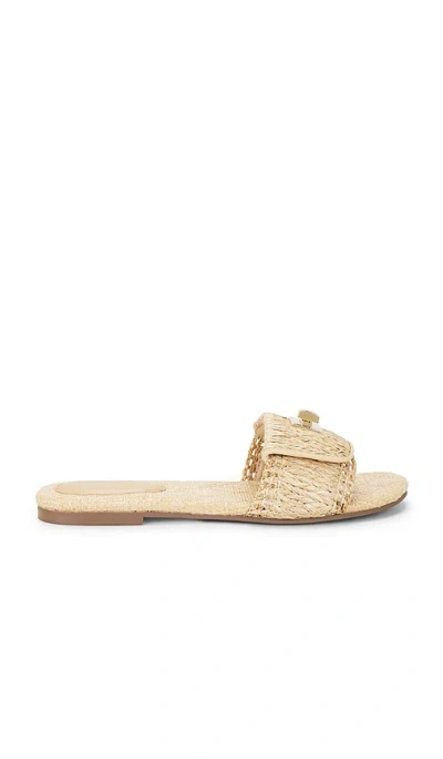 Steve Madden Moreland Sandal In Multi