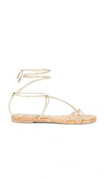 Steve Madden Myrtle Sandal In 杂金色