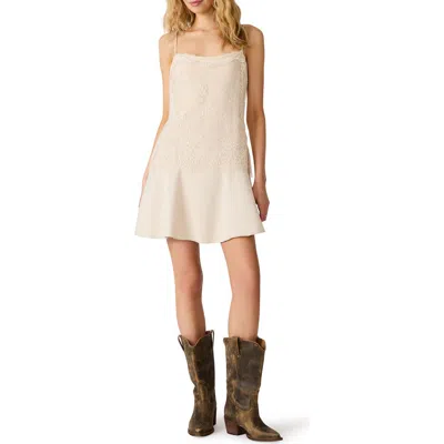 Steve Madden Nabella Lace Sleeveless Minidress In Neutral