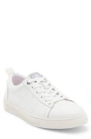 Steve Madden Nickai Sneaker In White