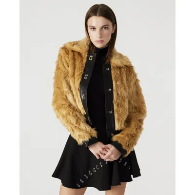 Steve Madden Nimba Jacket Khaki