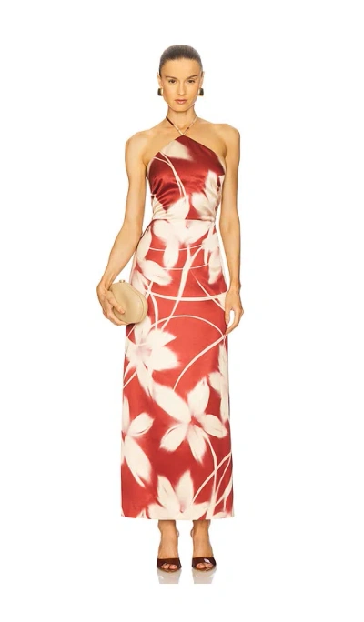 Steve Madden Oaklyn Dress In Red