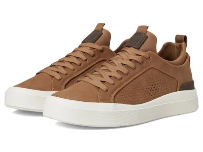 Steve Madden Oasys In Brown