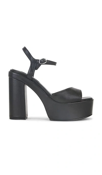 Steve Madden Odina Heel In Black