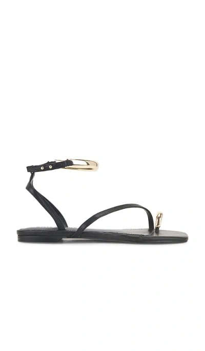 Steve Madden Odyssey Sandal In Black Leather