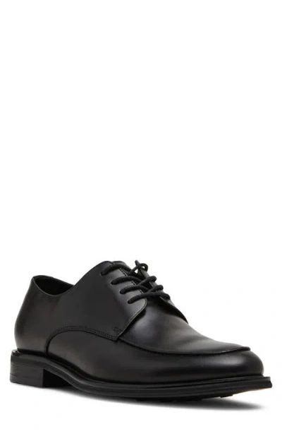 Steve Madden Pelicane Derby In Black