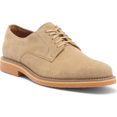 Steve Madden Petit Derby